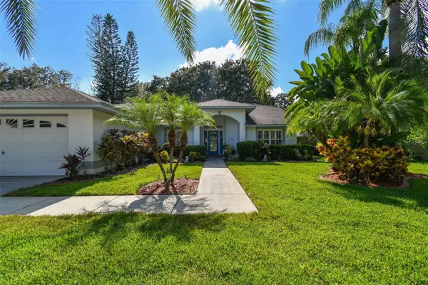 16504 CAYMAN DR, Tampa, FL 33624