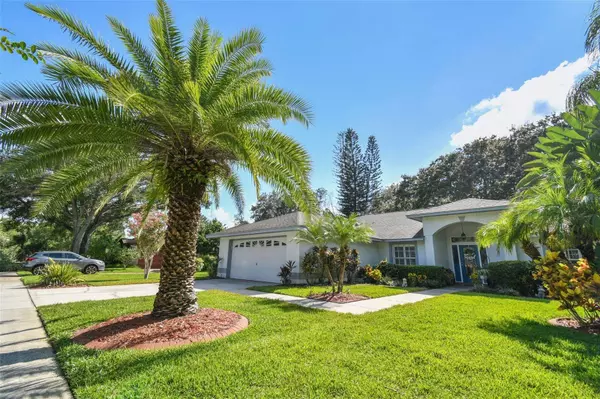 16504 CAYMAN DR, Tampa, FL 33624