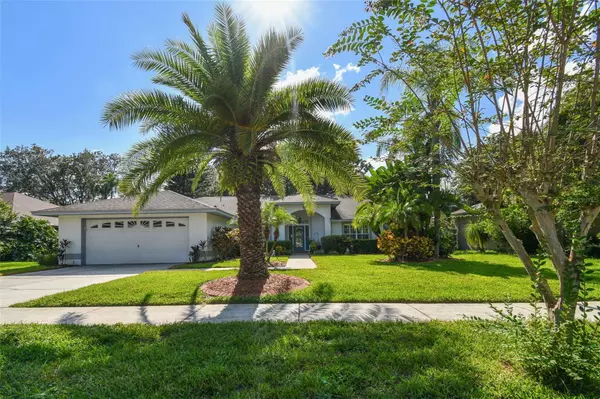 16504 CAYMAN DR, Tampa, FL 33624