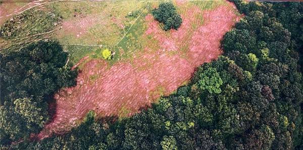 0 Little McMahon Creek RD, St. Clairsville, OH 43950