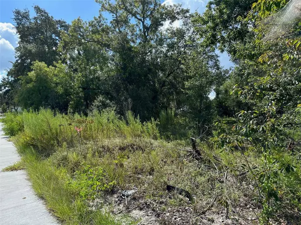 1916 LANDOVER BLVD, Spring Hill, FL 34608