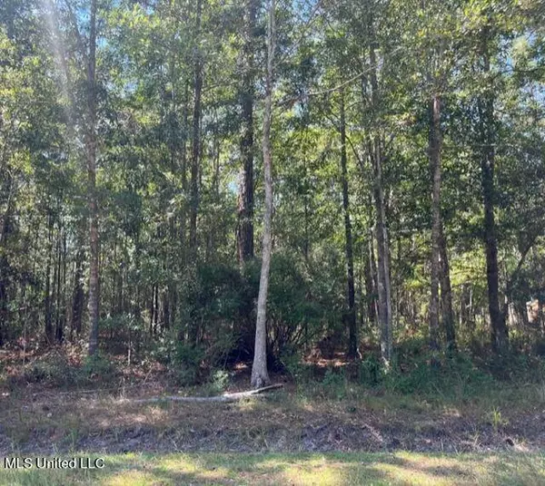 E Lincoln Street, Bay Saint Louis, MS 39520