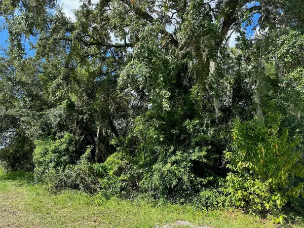 1916 LANDOVER BLVD, Spring Hill, FL 34608