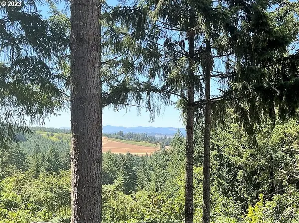 14617 SW PARMELE RD, Gaston, OR 97119