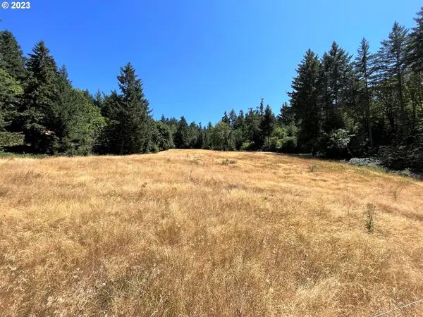 14617 SW PARMELE RD, Gaston, OR 97119