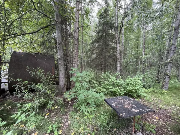 22303 Bernie AVE, Chugiak, AK 99567