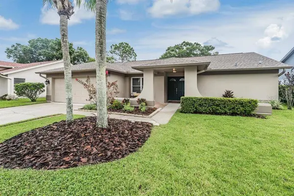 3259 GLENRIDGE DR, Palm Harbor, FL 34685