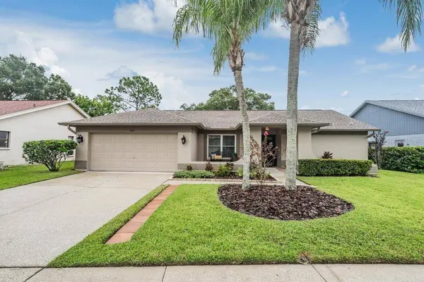 3259 GLENRIDGE DR, Palm Harbor, FL 34685