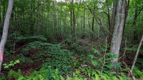 0 Rocky Hill Road, Woodstock, CT 06281