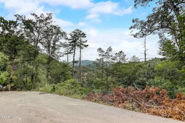 333 Sterling Dr. DR, Gatlinburg, TN 37738