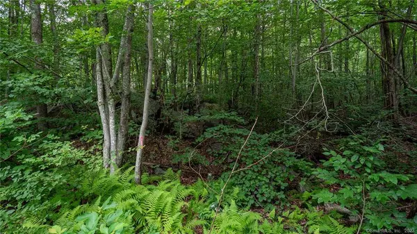 0 Rocky Hill Road, Woodstock, CT 06281