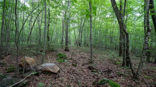 0 Rocky Hill Road, Woodstock, CT 06281