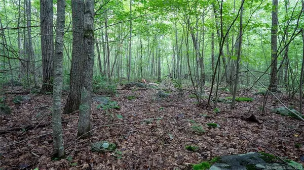 0 Rocky Hill Road, Woodstock, CT 06281