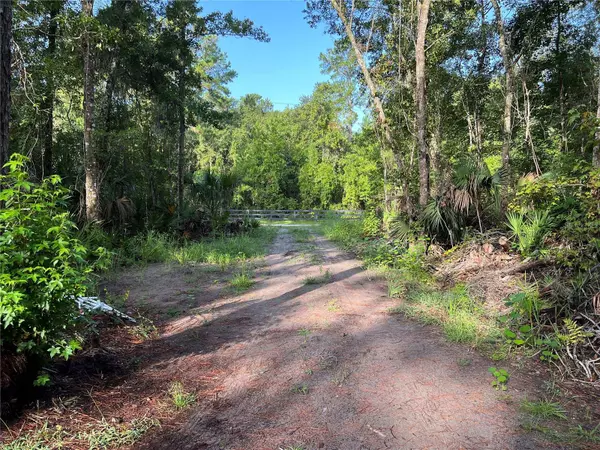 990 MORRIS PIKE WAY, Pierson, FL 32180