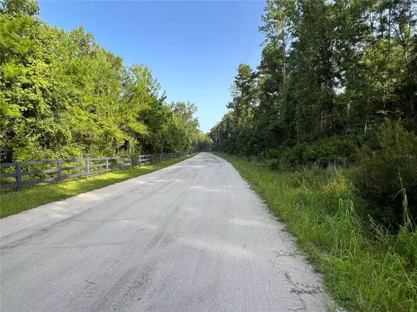 990 MORRIS PIKE WAY, Pierson, FL 32180