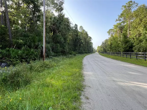 990 MORRIS PIKE WAY, Pierson, FL 32180