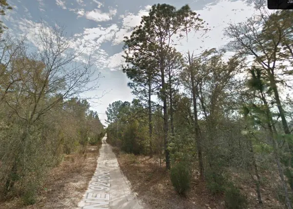 0 NE 81ST ST, Bronson, FL 32621