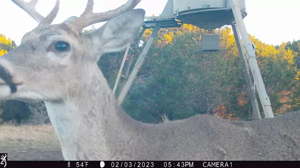 6700 County Road 410, Purmela, TX 76566