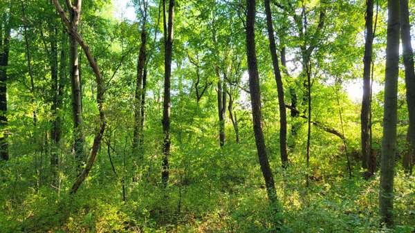 N4127 Klipstein Rd, Plymouth, WI 53929