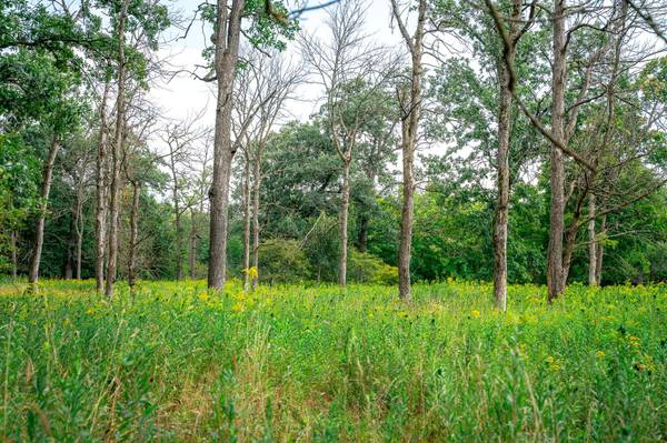 0 KERMIT Ave, Ridgeville, WI 54648