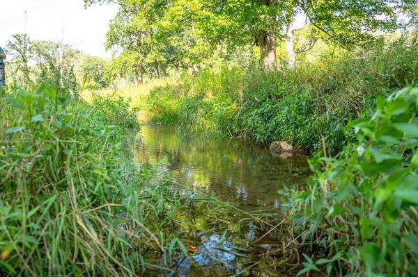 0 KERMIT Ave, Ridgeville, WI 54648