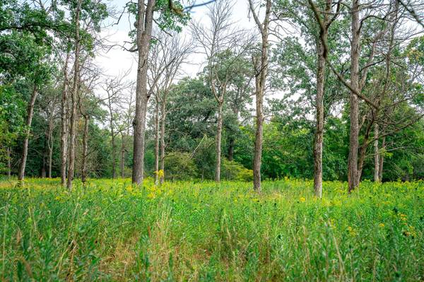 0 KERMIT Ave, Ridgeville, WI 54648