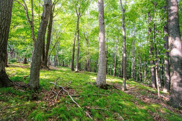 0 KERMIT Ave, Ridgeville, WI 54648