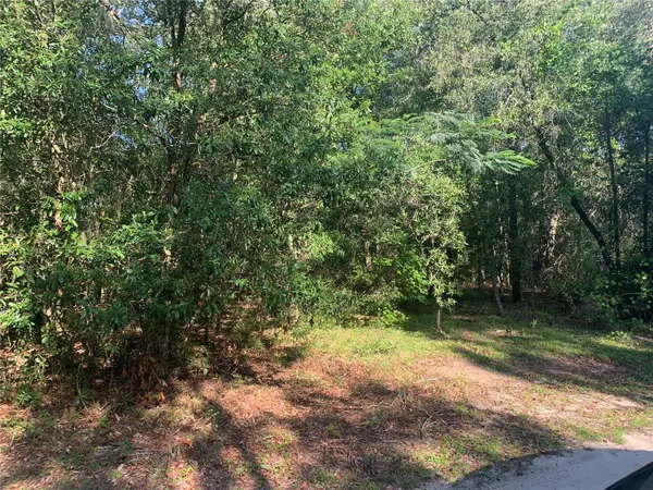 TBD NE 118TH LN, Bronson, FL 32621