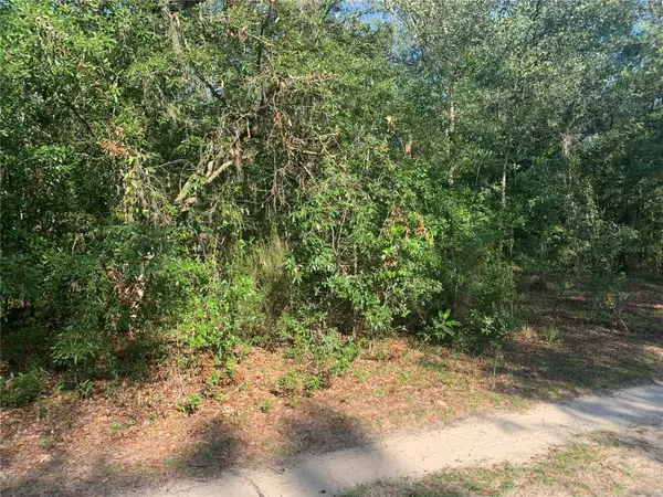 TBD NE 118TH LN, Bronson, FL 32621