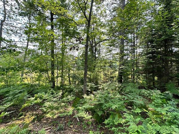 ON HWY 45, Conover, WI 54519