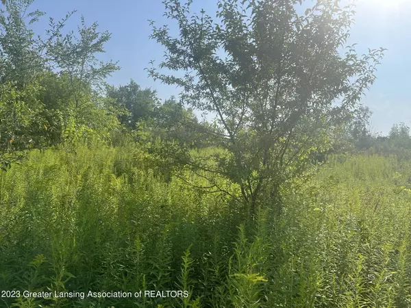 10000 Murphy Highway, Tecumseh, MI 49286, Tecumseh, MI 49286