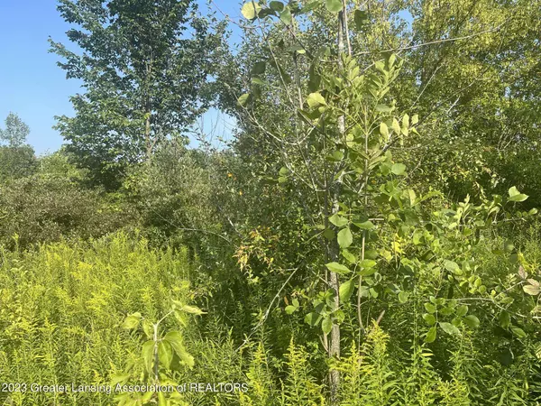 10000 Murphy Highway, Tecumseh, MI 49286, Tecumseh, MI 49286