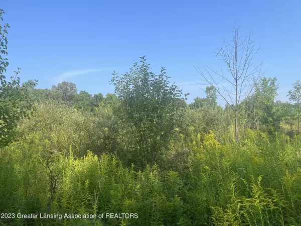 10000 Murphy Highway, Tecumseh, MI 49286, Tecumseh, MI 49286