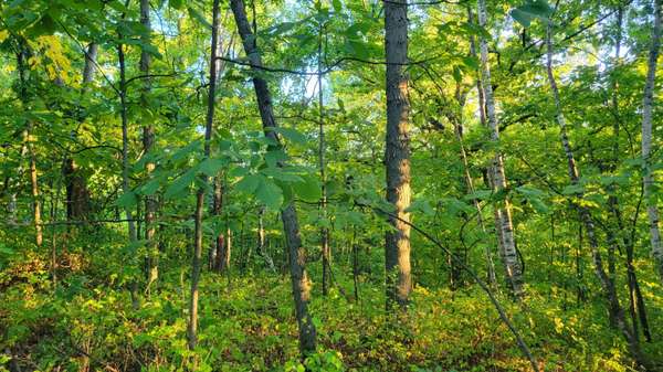 000 COUNTY HIGHWAY Q Hwy, Lafayette, WI 54656