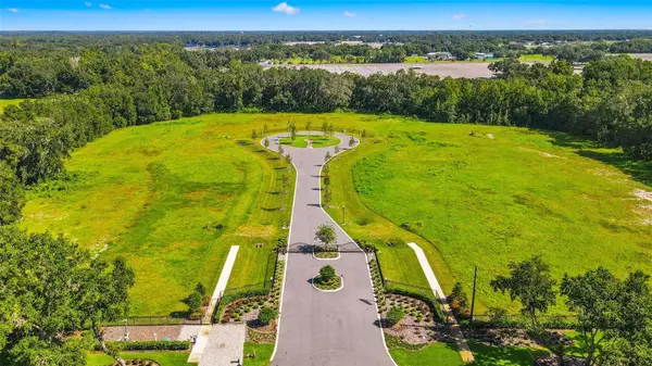 JESS WALDEN RD, Dover, FL 33527