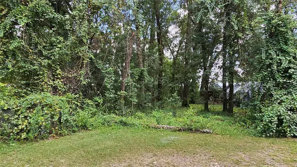 19804 ROSE RD, Altoona, FL 32702