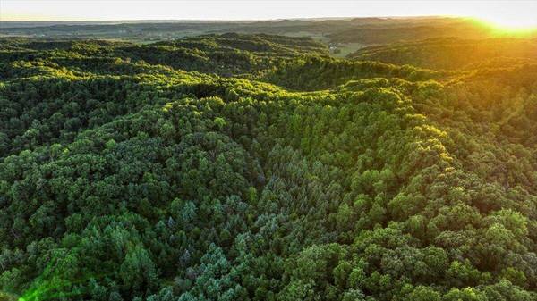 000 COUNTY HIGHWAY Q Hwy, Lafayette, WI 54656