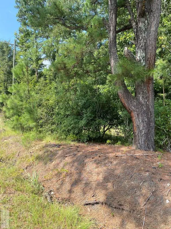 4520 FURMAN FIELD RD, Rembert, SC 29128