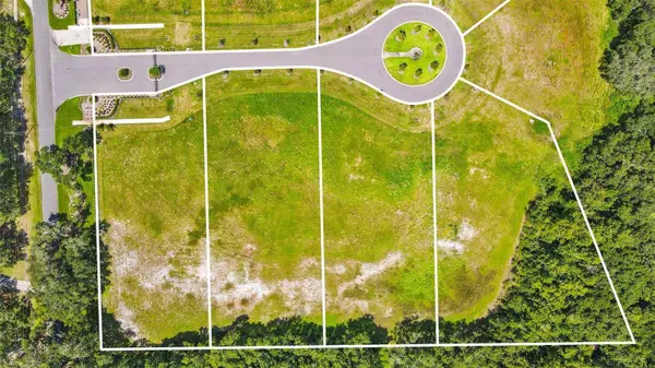 JESS WALDEN RD, Dover, FL 33527