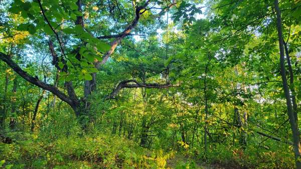 000 COUNTY HIGHWAY Q Hwy, Lafayette, WI 54656