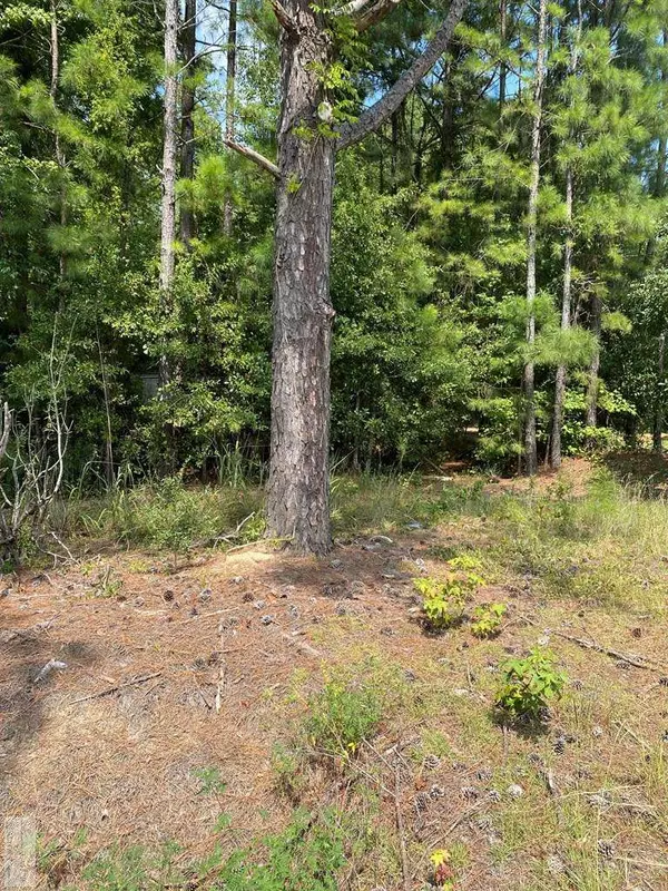 4520 FURMAN FIELD RD, Rembert, SC 29128