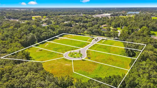 JESS WALDEN RD, Dover, FL 33527