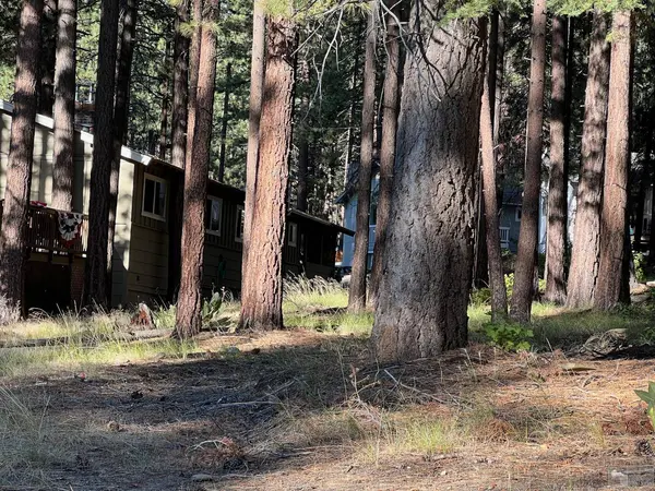 3723 Ruby Way, South Lake Tahoe, CA 96150