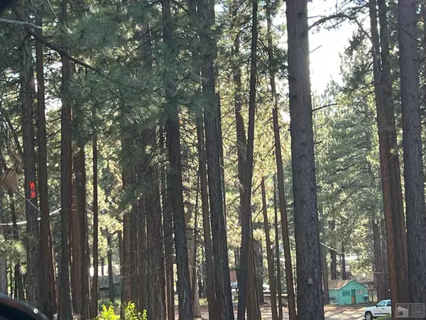 3723 Ruby Way, South Lake Tahoe, CA 96150