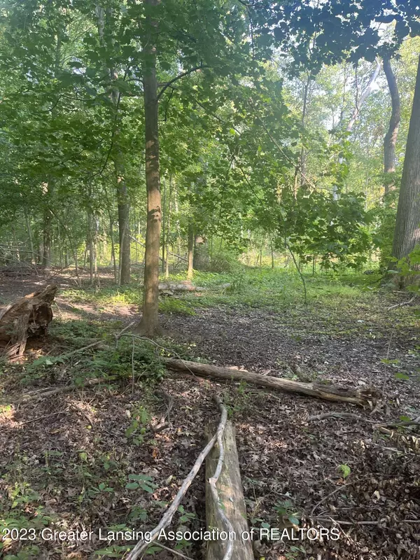 11000 Macon Highway, Clinton, MI 49236, Clinton, MI 49236