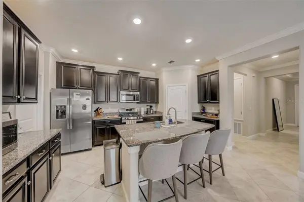 24952 LAMBRUSCO LOOP, Lutz, FL 33559