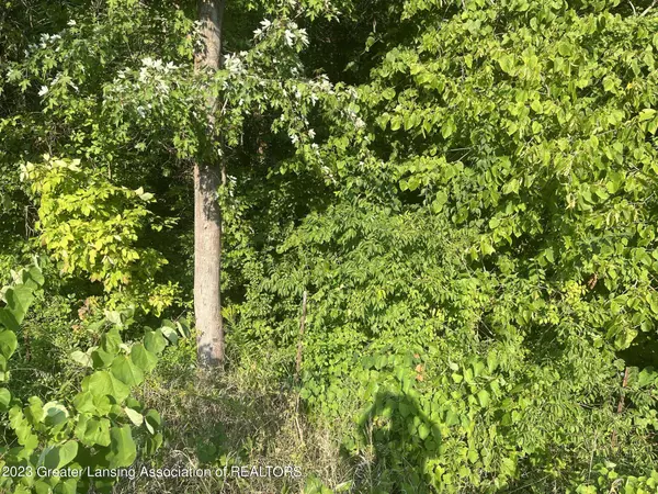 11000 Macon Highway, Clinton, MI 49236, Clinton, MI 49236