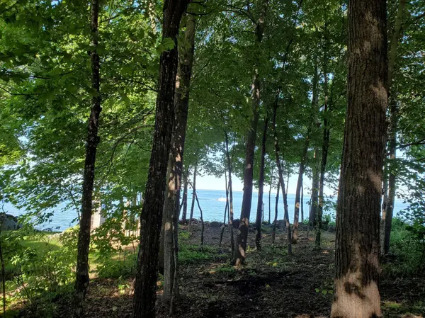 46766 Earle Brown DR, Garrison, MN 56450