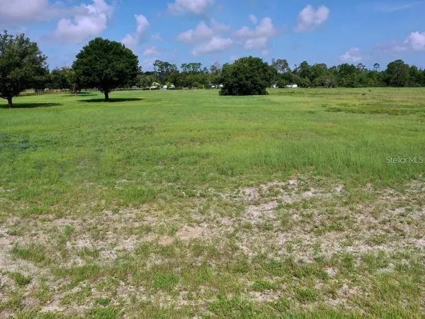 29045 CAN DO LN, Tavares, FL 32778