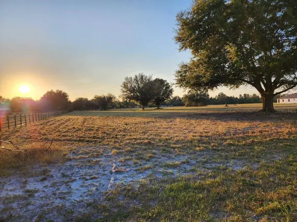 29045 CAN DO LN, Tavares, FL 32778